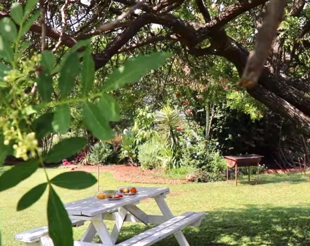 Choice Backpackers Lodge Bulawayo Exteriér fotografie